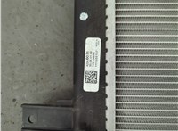 42566071 Радиатор охлаждения двигателя Chevrolet Bolt 2016-2021 20925851 #4