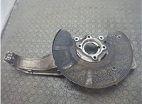 103060500D Кулак поворотный Tesla Model S 2012-2016 20926015 #3