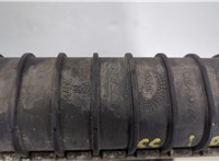 214607S000 Радиатор охлаждения двигателя Infiniti QX56 2004-2010 20926036 #5