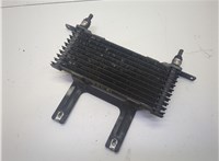 20880895 Радиатор АКПП Cadillac Escalade 3 2006-2014 20926116 #1