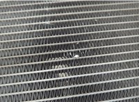 253100A180 Радиатор охлаждения двигателя Hyundai Sonata 5 NF 2005-2010 20926328 #5