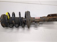 19184382 Амортизатор подвески Pontiac Vibe 2 2008-2010 20926559 #1