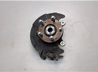 51750F2000, 51716F2000, 51756F2000 Ступица (кулак, цапфа) Hyundai Elantra 2015-2020 20927813 #1