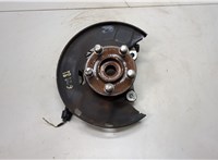 13546938 Ступица (кулак, цапфа) Chevrolet Volt 2010-2015 20928079 #1