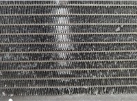  Радиатор охлаждения двигателя Toyota Avensis 2 2003-2009 20928150 #7