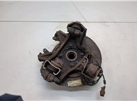  Ступица (кулак, цапфа) Infiniti QX56 2004-2010 20928184 #1