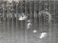 967409680 Радиатор охлаждения двигателя Peugeot 308 2007-2013 20928571 #1