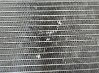 7788387 Радиатор охлаждения двигателя BMW X5 E53 2000-2006 20932457 #7