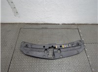 42785960 Накладка замка капота Chevrolet Bolt EUV 2021-2023 20932464 #1