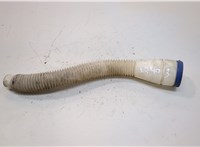  Горловина заливная бачка омывателя Peugeot Partner 2008-2012 20933159 #1