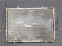 2025007703 Радиатор охлаждения двигателя Chrysler Crossfire 2003-2008 20933627 #1