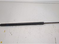 M1PZ78406A11B Амортизатор крышки багажника Ford Bronco Sport 2020-2024 20935138 #1