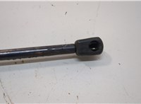 M1PZ78406A11B Амортизатор крышки багажника Ford Bronco Sport 2020-2024 20935138 #2