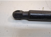 M1PZ78406A11B Амортизатор крышки багажника Ford Bronco Sport 2020-2024 20935138 #3