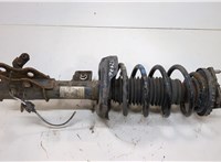  Амортизатор подвески Honda Civic 2011-2017 20935982 #1