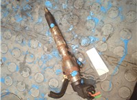 166006212R, 166006526R, 8201100113 Форсунка топливная Renault Megane 3 2009-2016 20937195 #17