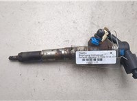 166006212R, 166006526R, 8201100113 Форсунка топливная Renault Megane 3 2009-2016 20937195 #18