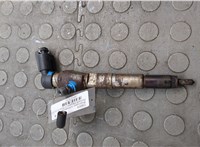 166006212R, 166006526R, 8201100113 Форсунка топливная Renault Megane 3 2009-2016 20937195 #21