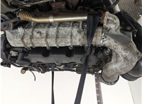 0135FK Двигатель (ДВС) Peugeot 406 1999-2004 20940999 #17