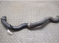 2203709, F1F16F075BC, 2015467, F1F16F073AC Патрубок интеркулера Ford Transit (Tourneo) Connect 2012-2018 20943064 #1