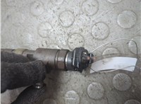 1745052 Форсунка топливная Ford Transit (Tourneo) Connect 2012-2018 20943069 #2