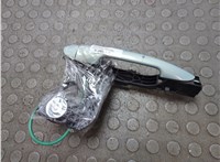 735316660, 71719802 Ручка двери наружная Fiat Stilo 2001-2007 20943826 #1