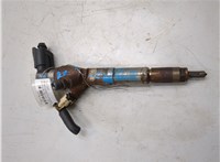 166006212R, 166006526R Форсунка топливная Renault Scenic 2012-2016 20946640 #1