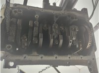  Блок цилиндров (Шорт блок) Audi A4 (B6) 2000-2006 20950172 #11