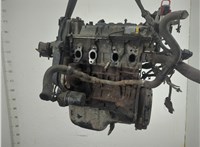 55194880 Компрессор кондиционера Fiat Punto Evo 2009-2012 11695293 #1