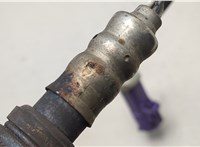 C60118861 Лямбда зонд Mazda 2 2003-2007 20952675 #2