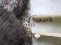  Обшивка стойки Audi A6 (C6) 2004-2011 20954729 #4