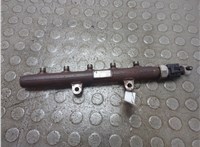  Рампа (рейка) топливная Ford Transit 2006-2014 20954815 #1