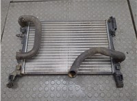 13399870 Радиатор охлаждения двигателя Opel Corsa E 2014-2019 20957369 #1