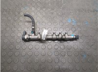  Рампа (рейка) топливная Land Rover Range Rover Evoque 2011-2018 20957764 #1