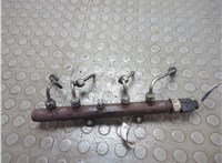  Рампа (рейка) топливная Ford Transit 2006-2014 20958248 #1