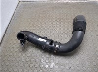 165752889R Патрубок корпуса воздушного фильтра Opel Vivaro 2014-2019 20958275 #1