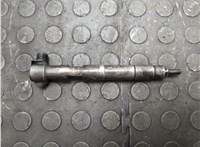 A6510702887 Форсунка топливная Mercedes C W204 2006-2015 20960456 #6