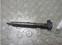 A6510702887 Форсунка топливная Mercedes C W204 2006-2015 20960459 #1