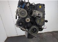 55194880 Компрессор кондиционера Fiat Punto Evo 2009-2012 11699871 #6
