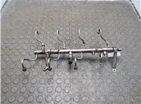 94811011506 Рампа (рейка) топливная Porsche Panamera 2009-2016 20962286 #1