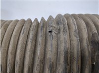 7L8616039B Амортизатор подвески Audi Q7 2005-2015 20964686 #5