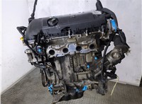 0135LN Двигатель (ДВС) Peugeot 207 2006-2015 20964762 #20