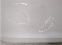  Ручка двери наружная Audi A8 (D4) 2010-2017 11701626 #2