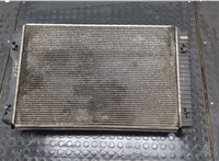  Радиатор охлаждения двигателя Audi A6 (C6) 2004-2011 20967278 #1