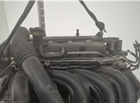  Насос гидроусилителя руля (ГУР) Ford Fusion 2002-2012 11708263 #6