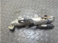 038131513J Охладитель отработанных газов Volkswagen Transporter 5 2003-2015 20971519 #1