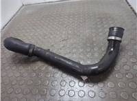  Патрубок интеркулера Audi A4 (B6) 2000-2006 20971543 #1