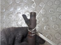  Форсунка топливная Ford Transit (Tourneo) Connect 2002-2013 20973088 #3