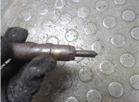  Форсунка топливная Ford Transit (Tourneo) Connect 2002-2013 20973088 #4