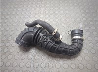  Патрубок корпуса воздушного фильтра Ford Transit (Tourneo) Connect 2002-2013 20973122 #1